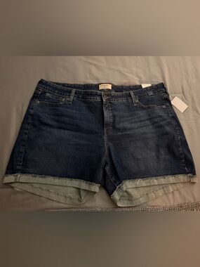 Dark Wash Denim Shorts